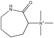 ヘキサヒドロ-N,N,N-トリメチル-2-オキソ-1H-アゼピン-3-アミニウム 化学構造式