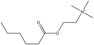  2-(Hexanoyloxy)-N,N,N-trimethylethanaminium