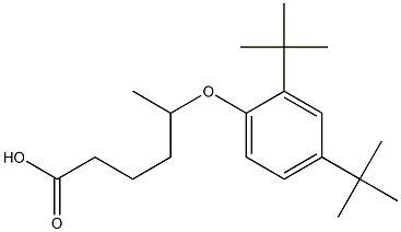5-(2,4-Di-tert-butylphenoxy)hexanoic acid 结构式