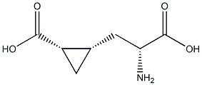 (1S,2S)-2-[(R)-2-Amino-2-carboxyethyl]cyclopropane-1-carboxylic acid,,结构式