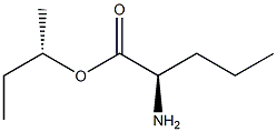 (S)-2-Aminopentanoic acid (R)-1-methylpropyl ester 结构式