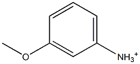 3-Methoxyanilinium|