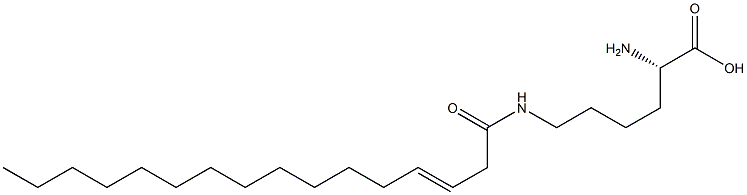 N6-(3-Hexadecenoyl)lysine Struktur