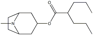 2-Propylpentanoic acid tropan-3-yl ester 结构式