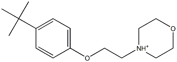 4-[2-[4-(tert-Butyl)phenoxy]ethyl]morpholine-4-cation Struktur