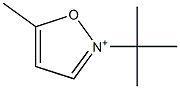 2-(1,1-Dimethylethyl)-5-methylisoxazol-2-ium Structure