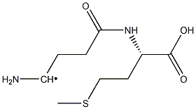 1-Amino-4-oxo-4-[[(S)-1-carboxy-3-(methylthio)propyl]amino]butyl radical Structure