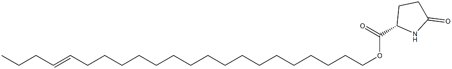 (S)-5-Oxopyrrolidine-2-carboxylic acid 18-docosenyl ester Structure