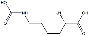 N6-カルボキシ-L-リシン 化学構造式