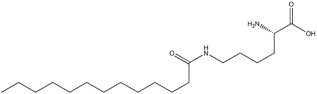 N6-Tridecanoyllysine Structure