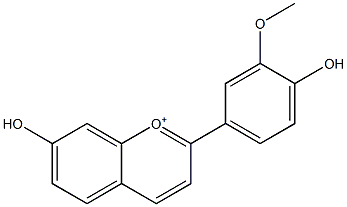 3'-Methoxy-4',7-dihydroxyflavylium,,结构式