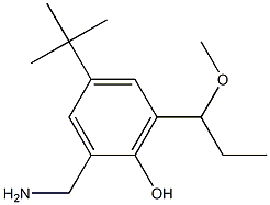 2-Aminomethyl-4-(tert-butyl)-6-(1-methoxypropyl)phenol Structure