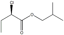 [R,(+)]-2-クロロ酪酸イソブチル 化学構造式