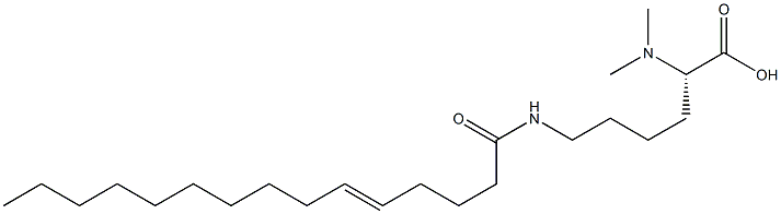 N6-(5-ペンタデセノイル)-N2,N2-ジメチルリシン 化学構造式