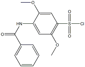 N-(4-クロロスルホニル-2,5-ジメトキシフェニル)ベンズアミド 化学構造式