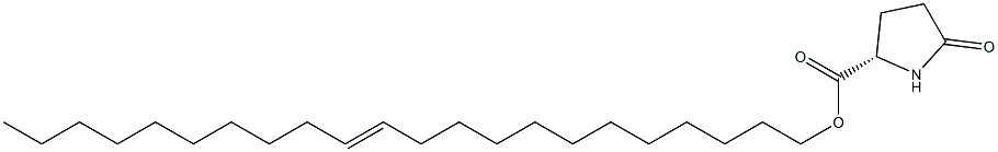 (S)-5-Oxopyrrolidine-2-carboxylic acid 12-docosenyl ester Struktur