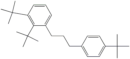 1-(2,3-Di-tert-butylphenyl)-3-(4-tert-butylphenyl)propane Structure