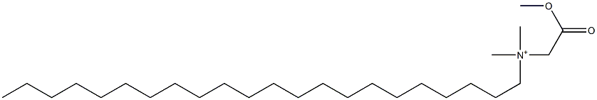 N-(メトキシカルボニルメチル)-N,N-ジメチル-1-ドコサンアミニウム 化学構造式