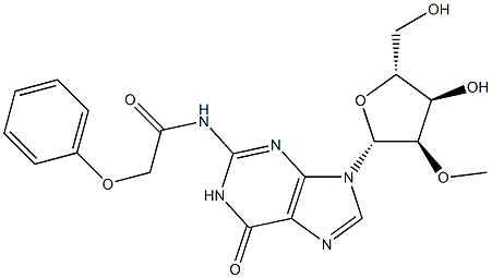 N2-Phenoxyacetyl-2'-O-methylguanosine Structure