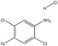 2,4,5-Trichloroaniline hydrochloride|2,4,5-三氯苯胺盐酸盐