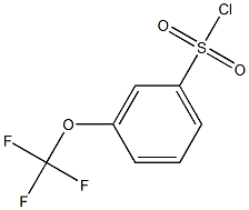 M-trifluoromethoxybenzenesulfonyl chloride|间三氟甲氧基苯磺酰氯