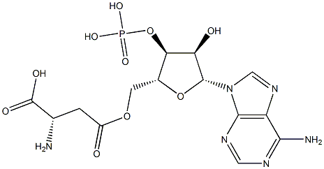 beta-aspartyl-adenosine monophosphate
