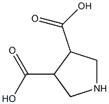 pyrrolidine-3,4-dicarboxylic acid 化学構造式