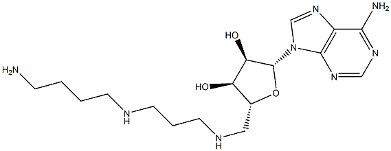 adenosylspermidine,,结构式