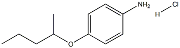 4-(1-METHYLBUTOXY)BENZENAMINEHYDROCHLORIDE|