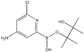 6-CHLORO-4-AMINOPYRIDINE-2-BORONIC ACID PINACOL ESTER,,结构式