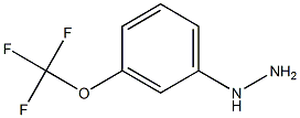 1-(3-(trifluoromethoxy)phenyl)hydrazine Struktur