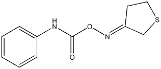 3-{[(anilinocarbonyl)oxy]imino}tetrahydrothiophene 结构式