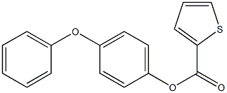 4-phenoxyphenyl thiophene-2-carboxylate 结构式