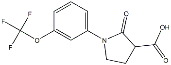 2-oxo-1-[3-(trifluoromethoxy)phenyl]pyrrolidine-3-carboxylic acid, 1016508-24-9, 结构式