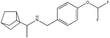 (1-{bicyclo[2.2.1]heptan-2-yl}ethyl)({[4-(difluoromethoxy)phenyl]methyl})amine