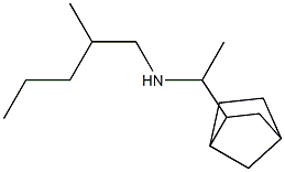 (1-{bicyclo[2.2.1]heptan-2-yl}ethyl)(2-methylpentyl)amine