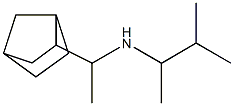 (1-{bicyclo[2.2.1]heptan-2-yl}ethyl)(3-methylbutan-2-yl)amine Structure