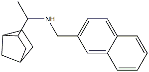  (1-{bicyclo[2.2.1]heptan-2-yl}ethyl)(naphthalen-2-ylmethyl)amine