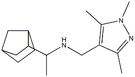 (1-{bicyclo[2.2.1]heptan-2-yl}ethyl)[(1,3,5-trimethyl-1H-pyrazol-4-yl)methyl]amine|