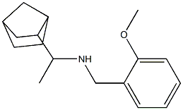 (1-{bicyclo[2.2.1]heptan-2-yl}ethyl)[(2-methoxyphenyl)methyl]amine