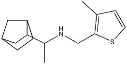 (1-{bicyclo[2.2.1]heptan-2-yl}ethyl)[(3-methylthiophen-2-yl)methyl]amine