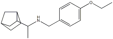 (1-{bicyclo[2.2.1]heptan-2-yl}ethyl)[(4-ethoxyphenyl)methyl]amine|