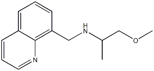 (1-methoxypropan-2-yl)(quinolin-8-ylmethyl)amine|