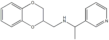 (2,3-dihydro-1,4-benzodioxin-2-ylmethyl)[1-(pyridin-3-yl)ethyl]amine Structure