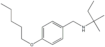 (2-methylbutan-2-yl)({[4-(pentyloxy)phenyl]methyl})amine|