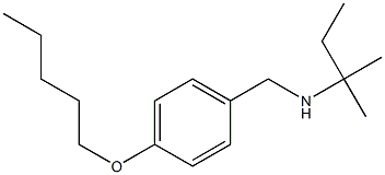  (2-methylbutan-2-yl)({[4-(pentyloxy)phenyl]methyl})amine