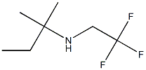 (2-methylbutan-2-yl)(2,2,2-trifluoroethyl)amine Structure