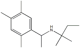 (2-methylbutan-2-yl)[1-(2,4,5-trimethylphenyl)ethyl]amine Struktur