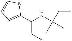 (2-methylbutan-2-yl)[1-(thiophen-2-yl)propyl]amine