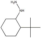 (2-tert-butylcyclohexyl)hydrazine Struktur